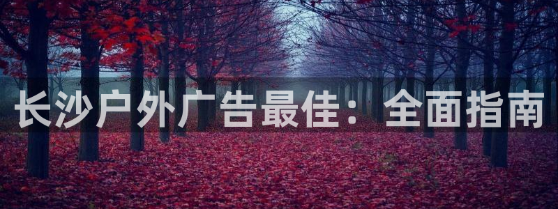 杏宇平台代理怎么样：长沙户外广告最佳：全面指南