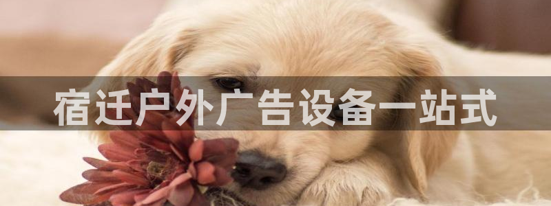 杏宇平台是什么：宿迁户外广告设备一站式