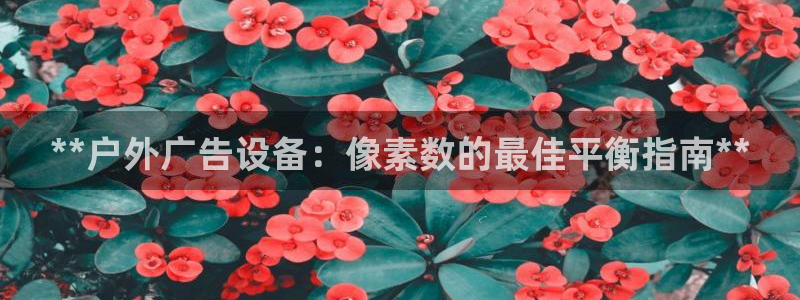 杏宇平台登录步骤：**户外广告设备：像素数的最佳平衡指南**