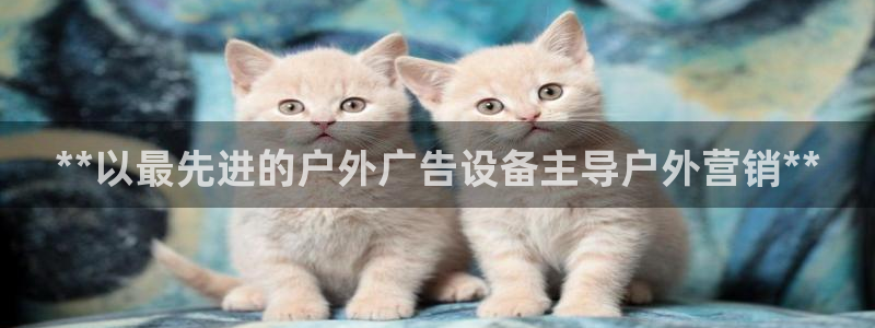 杏宇平台注册登录：**以最先进的户外广告设备主导户外营销**