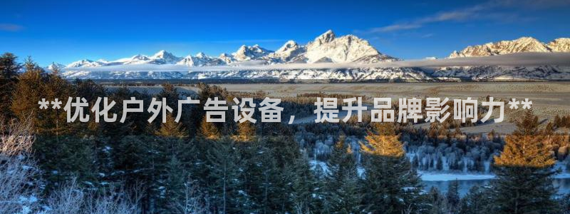 杏宇平台代理怎么样啊：**优化户外广告设备，提升品牌影响力**