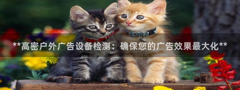 杏宇平台登录步骤图：**高密户外广告设备检测：确保您的广告效果最大化**