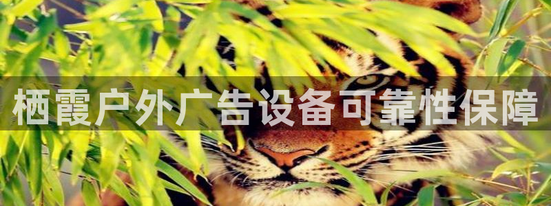 杏宇官方平台官网：栖霞户外广告设备可靠性