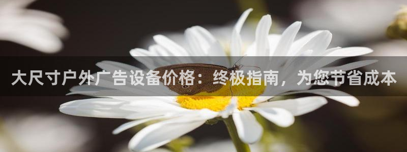 杏宇代理注册：大尺寸户外广告设备价格：终极指南，为您节省成本