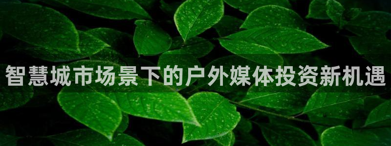 杏宇官方平台官网入口：智慧城市场景下的户外媒体投资新机遇
