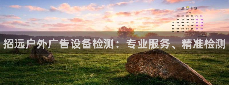 杏宇官方平台官网：招远户外广告设备检测：专业服务、精准检测