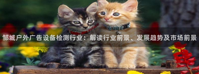 杏宇平台提现为什么这么久呢