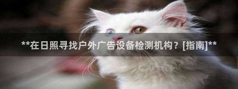 杏宇平台登录方法：**在日照寻找户外广告设备检测机构？[指南]**