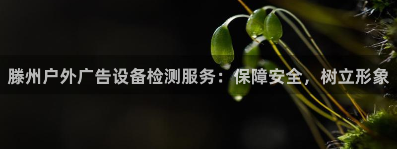 杏宇平台总代理：滕州户外广告设备检测服务：保障安全，树立形象
