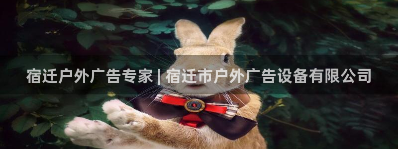 杏宇平台总代理：宿迁户外广告专家 | 宿
