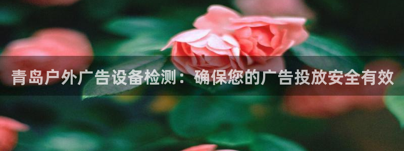 杏宇平台提现为什么这么久呢