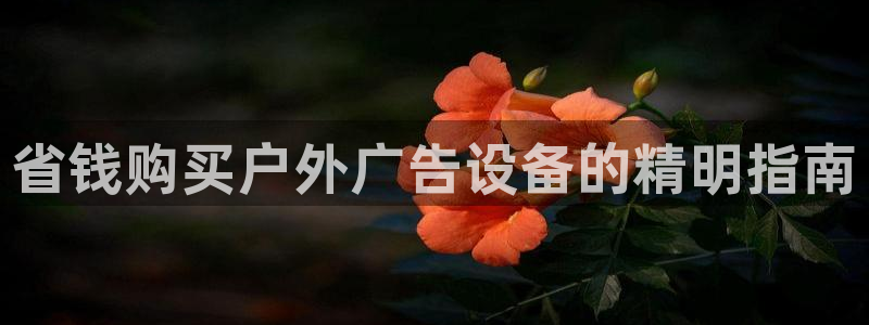 杏宇平台代理怎么样：省钱购买户外广告设备的精明指南