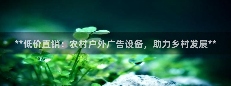 杏宇平台代理怎么样：**低价直销：农村户