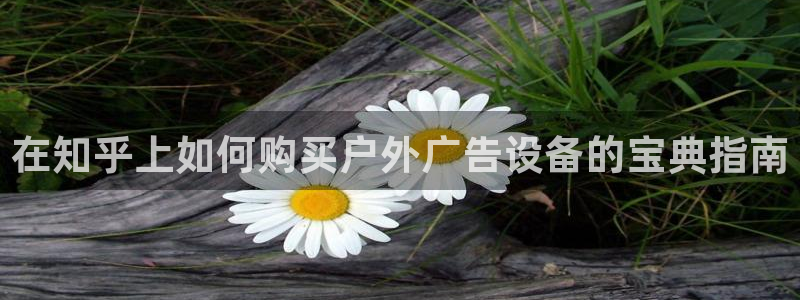 杏宇平台登陆：在知乎上如何购买户外广告设备的宝典指南