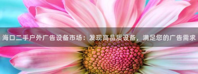 杏宇平台招商：海口二手户外广告设备市场：