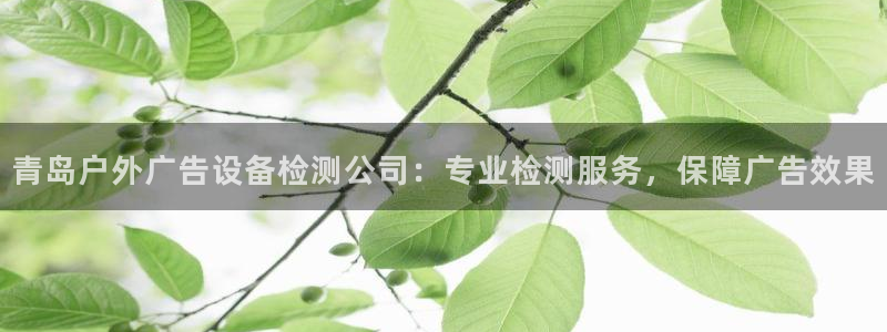 杏宇平台提现为什么这么久呢：青岛户外广告